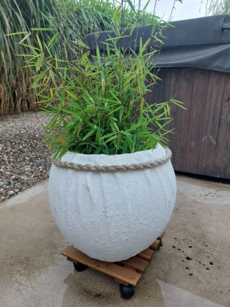 doniczka - rzeźba Beaty Patalas