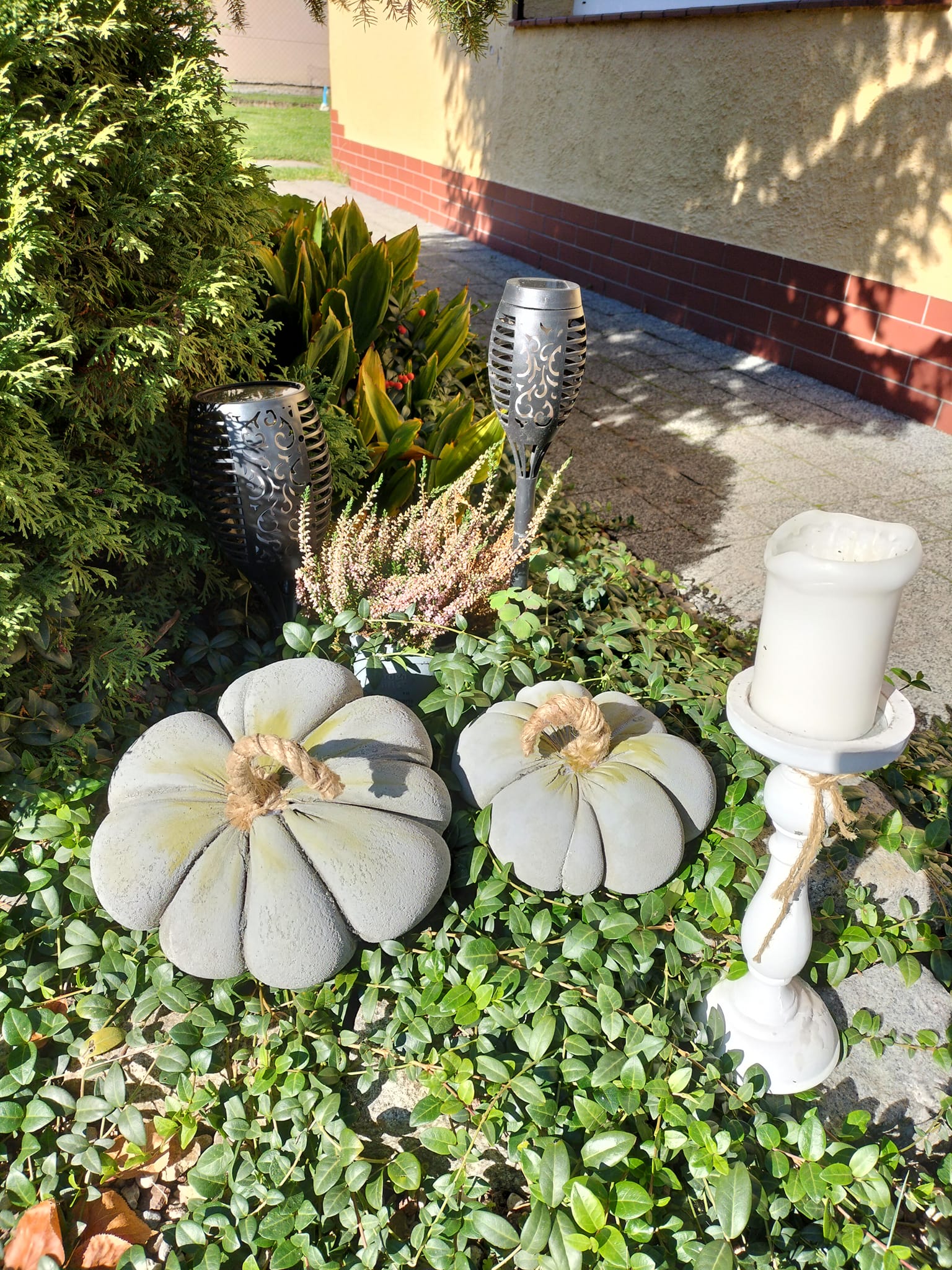 dynie - rzeźba Beaty Patalas